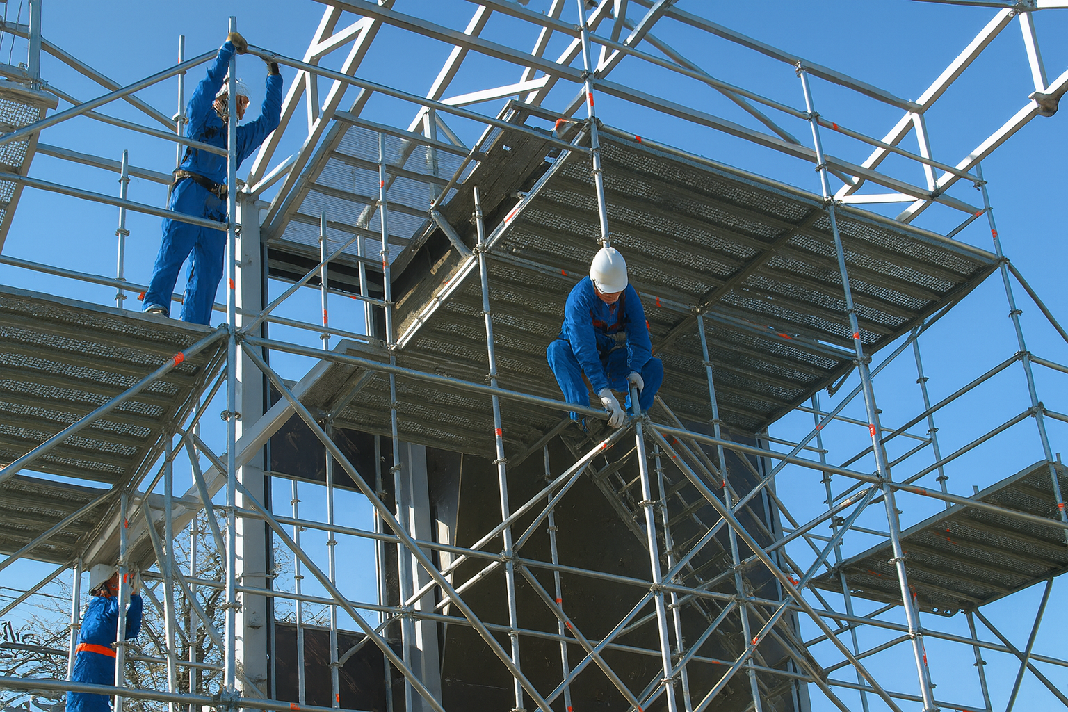 АРЕНДА ЛЕСОВ